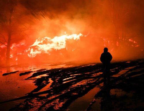 Feuer in der Silvesternacht vernichtet großes Rundballenlager