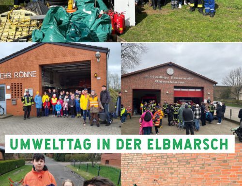 Umwelttag in der Samtgemeinde Elbmarsch