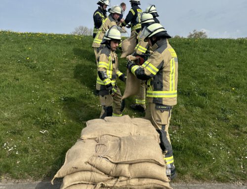 Ausbildungsdienst Deichverteidigung